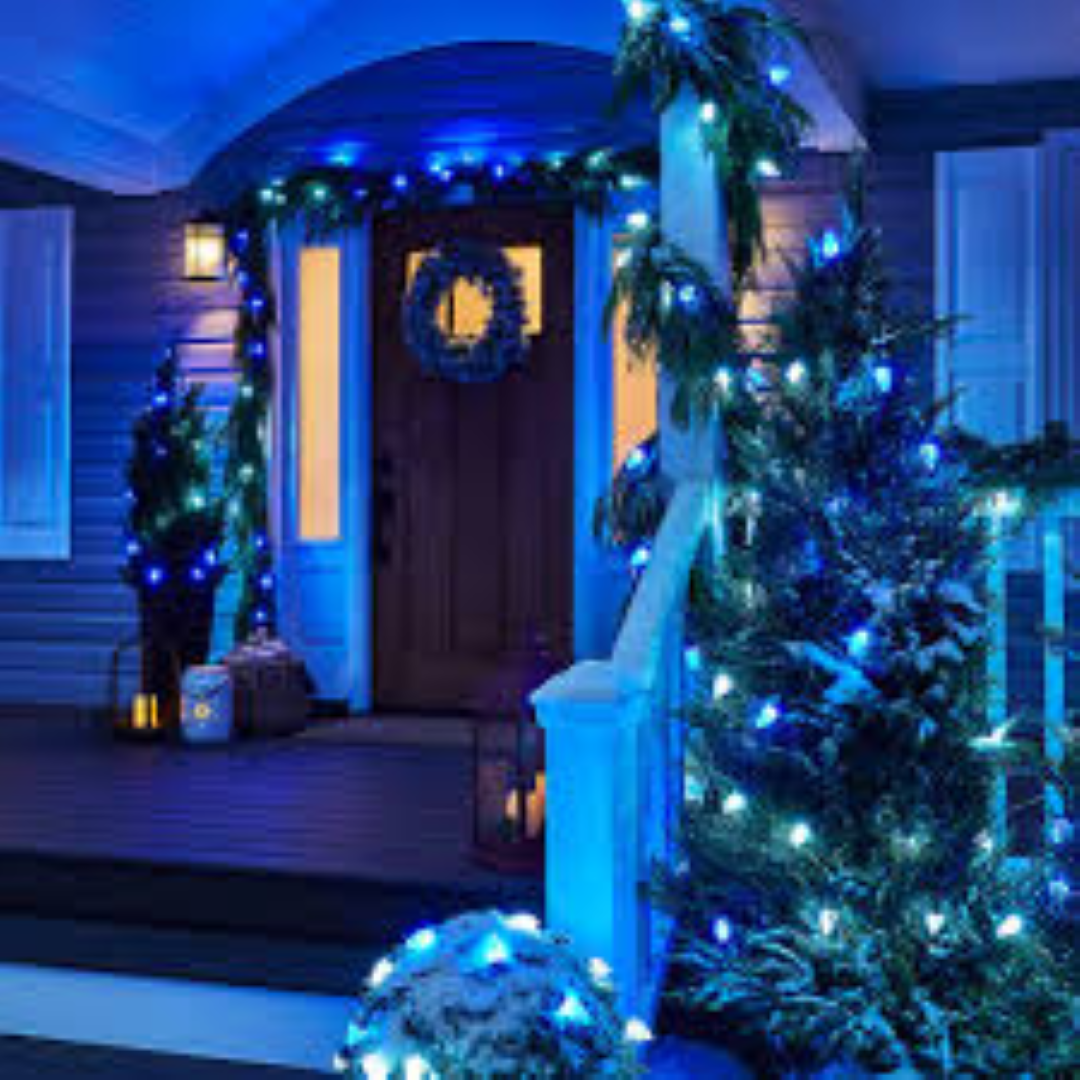CHRISTMAS LIGHT 266529